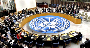 UN Security Council