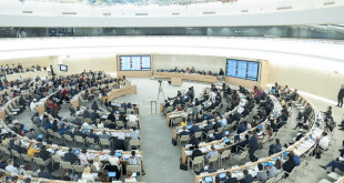 A Voting during 41st Session of the Human Rights Council. 12 July 2019. UN Photo/ Jean Mac Ferré