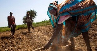 Farmers in Darfur (photo credit: Albert Gonzalez Farran / UNAMID)