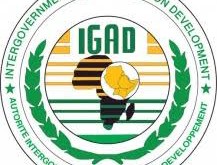 IGAD Logo