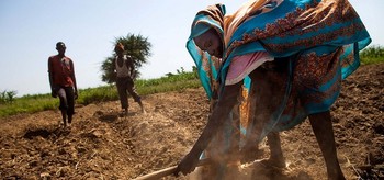 Farmers in Darfur (photo credit: Albert Gonzalez Farran / UNAMID)