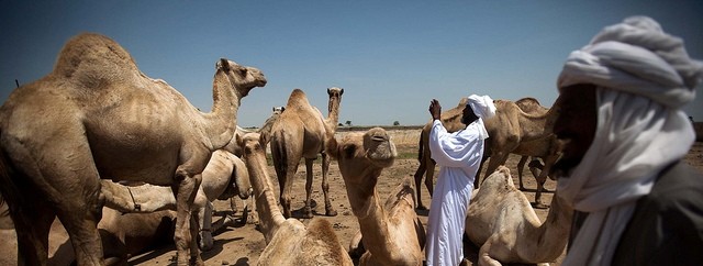 Ababa Rizeigat in North Darfur (Albert Gonzalez Farran/UNAMID)